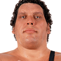 Andre The Giant